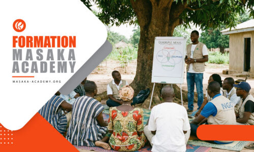 Formation sur le Quadruple Nexus HDPE(Humanitaire, Développement, Paix et Environnement)